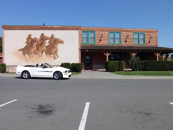 Ponies on The Run!-tech-2-wax-sept-22-09-011.jpg