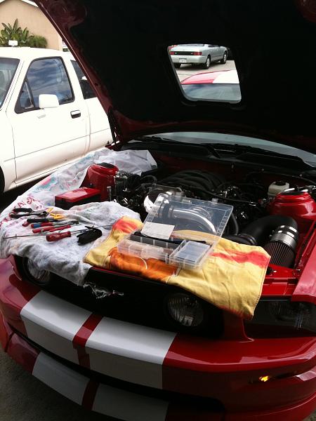 Ponies on The Run!-img_0880.jpg