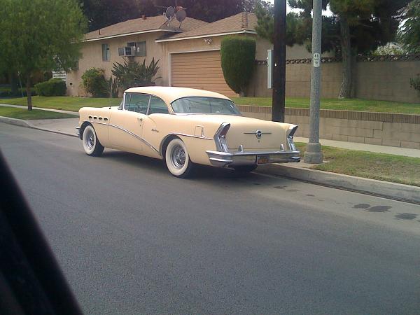 Ponies on The Run!-img_0314.jpg