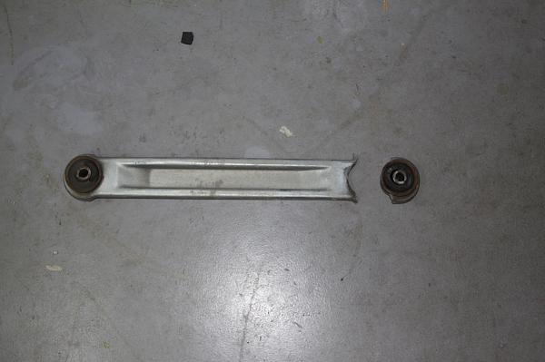 Ponies on The Run!-img_0670.jpg