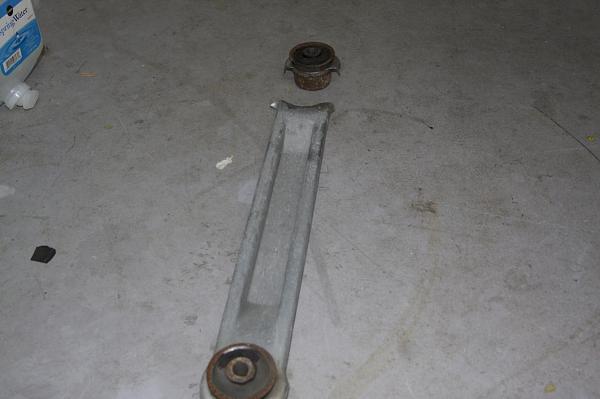 Ponies on The Run!-img_0671.jpg