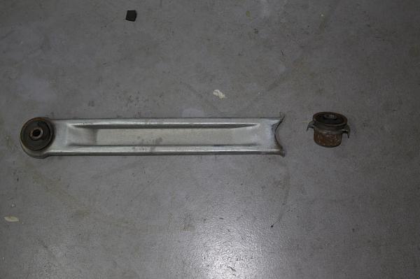 Ponies on The Run!-img_0672.jpg