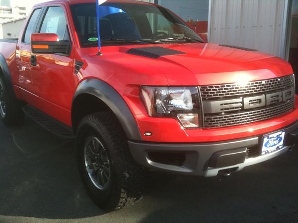 Ponies on The Run!-raptor-1.jpg