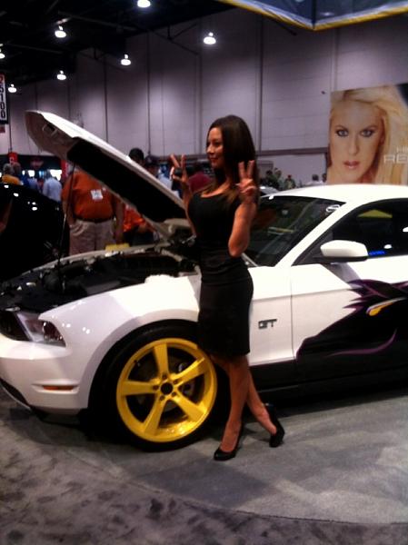 Ponies on The Run!-photo_2.jpg