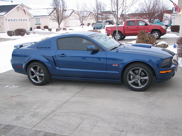 What Mustang(s) Do You Currently Own?-img_0093.jpg