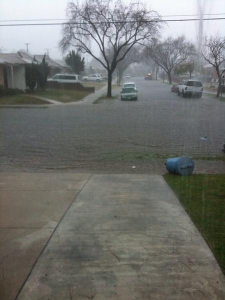 Ponies on The Run!-photo.jpg