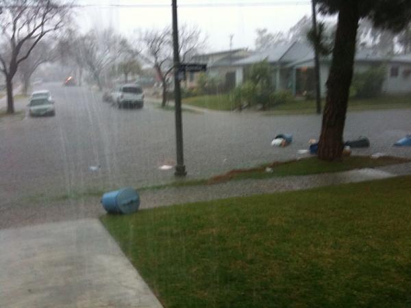 Ponies on The Run!-photo2.jpg