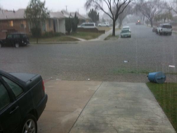 Ponies on The Run!-photo3.jpg