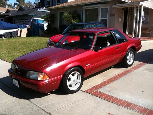 Ponies on The Run!-photo.jpg