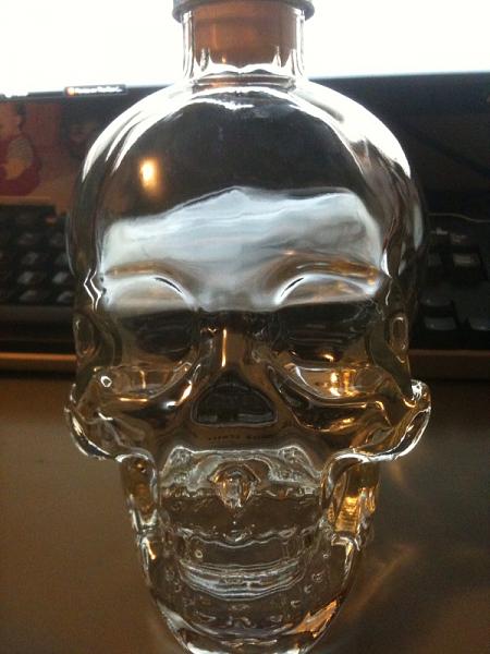 Ponies on The Run!-skull-1.jpg