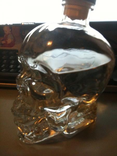 Ponies on The Run!-skull-2.jpg