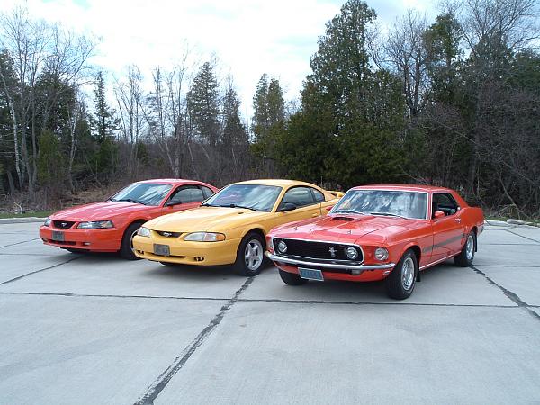 What Mustang(s) Do You Currently Own?-dscf0812.jpg