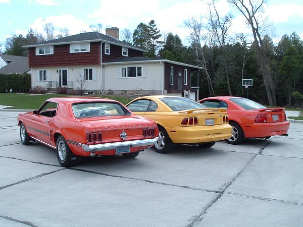 What Mustang(s) Do You Currently Own?-dscf0813.jpg