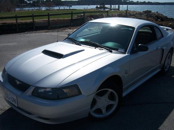 What Mustang(s) Do You Currently Own?-26187_402912243922_500058922_4855352_533158_n.jpg