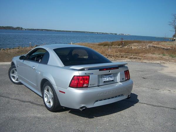 What Mustang(s) Do You Currently Own?-26187_402913083922_500058922_4855362_1117153_n.jpg