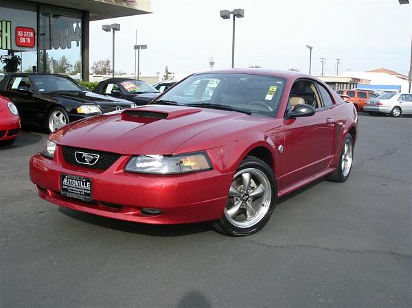 Ponies on The Run!-l_carpic_d-275_s-4586_1.jpg