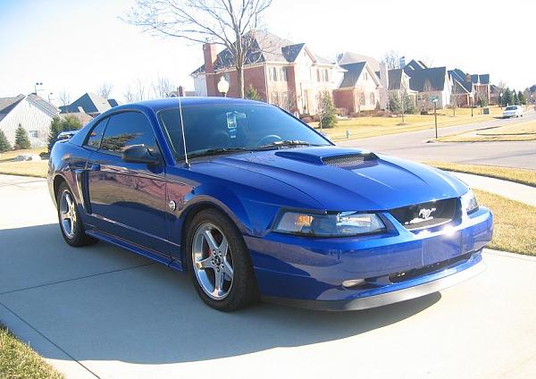 Ponies on The Run!-8554-2004-ford-mustang.jpg