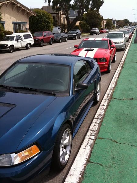 Ponies on The Run!-001.jpg