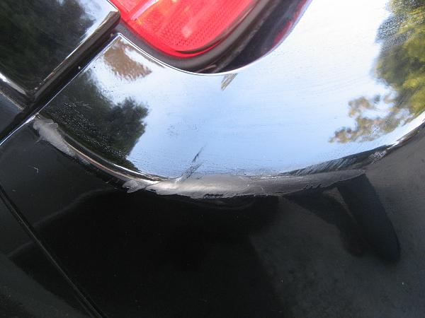 Ponies on The Run!-img_0007.jpg