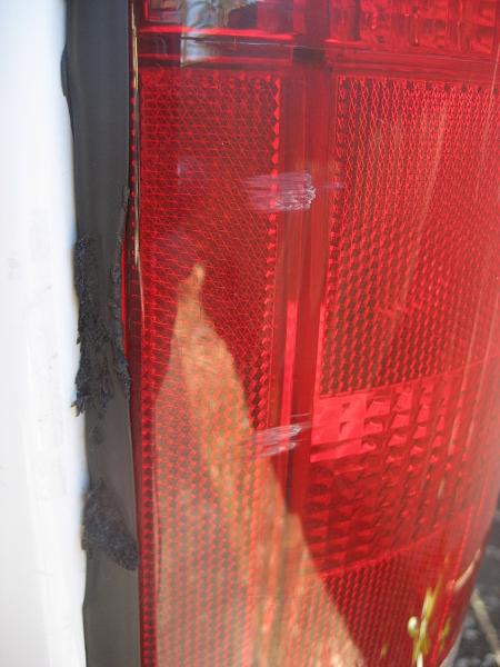 Ponies on The Run!-img_0014.jpg