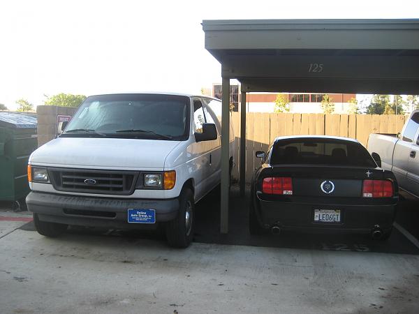 Ponies on The Run!-img_0004.jpg