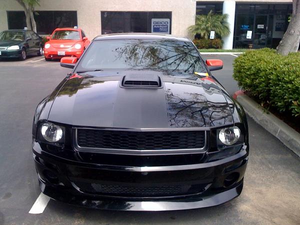 Ponies on The Run!-photo-1.jpg