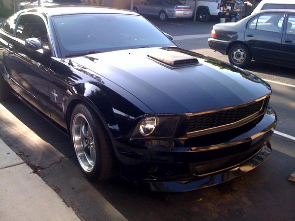 Ponies on The Run!-photo-2-1.jpg