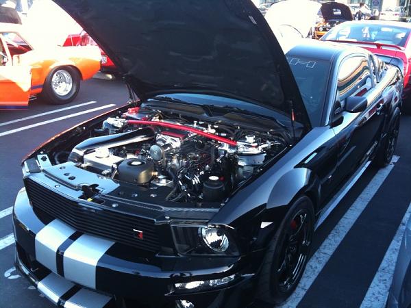 Ponies on The Run!-jed.jpg