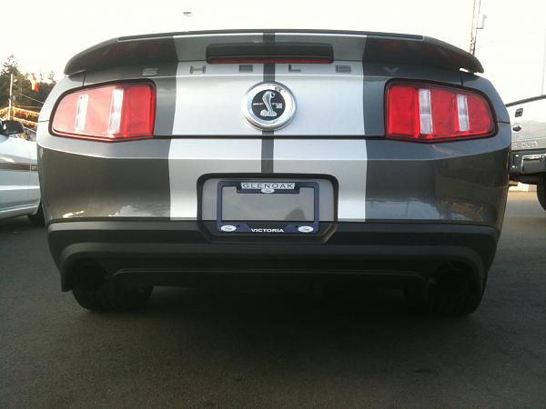 Ponies on The Run!-may-2010-3gs-023.jpg