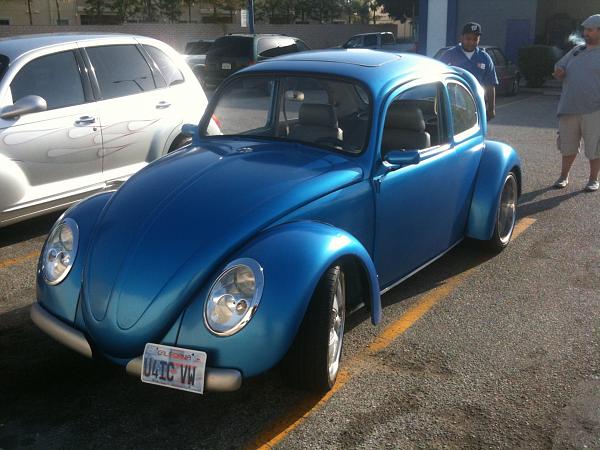 Ponies on The Run!-img_0574.jpg