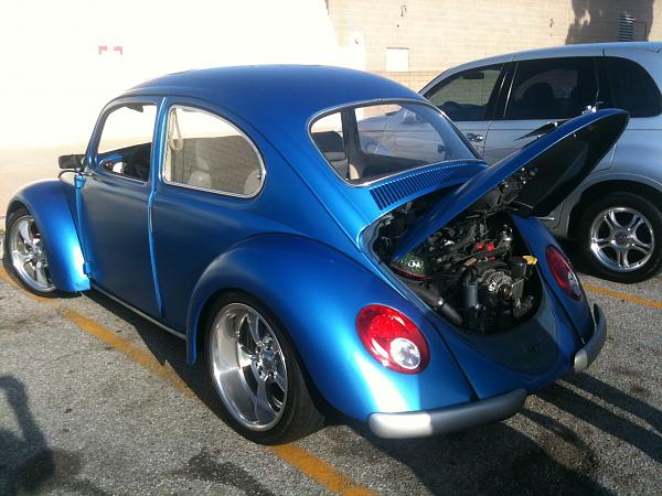 Ponies on The Run!-img_0573.jpg