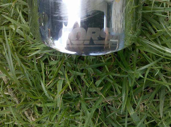 Ponies on The Run!-2010-03-04-17.21.21.jpg