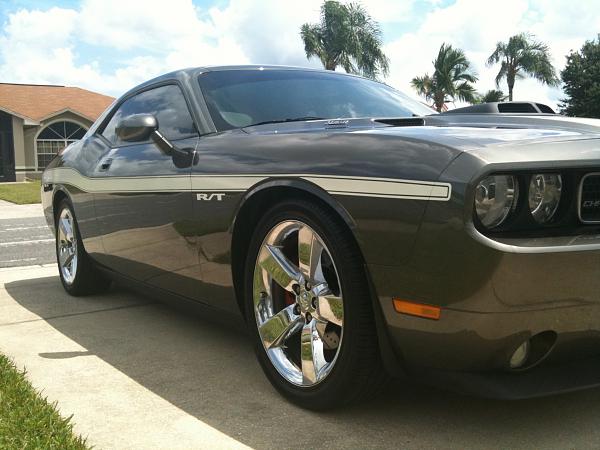 Ponies on The Run!-img_0658.jpg