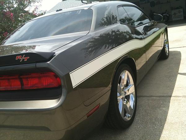 Ponies on The Run!-img_0659.jpg