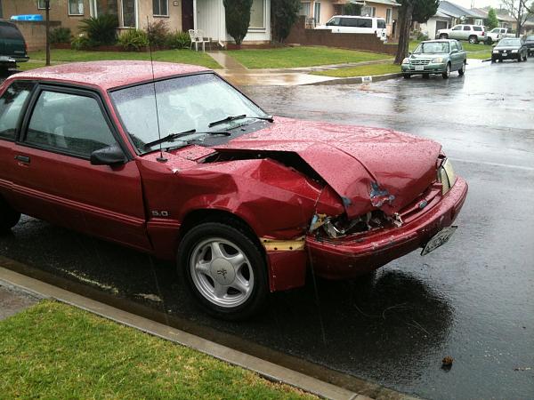 Ponies on The Run!-img_0040.jpg