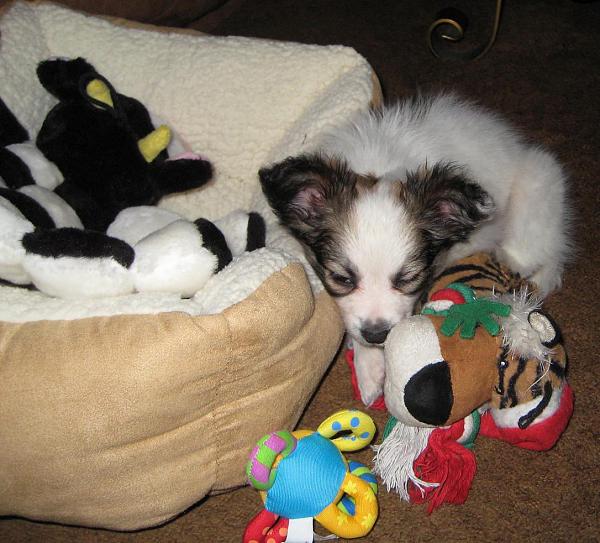 Terrible day at my house-nitro-150.jpg