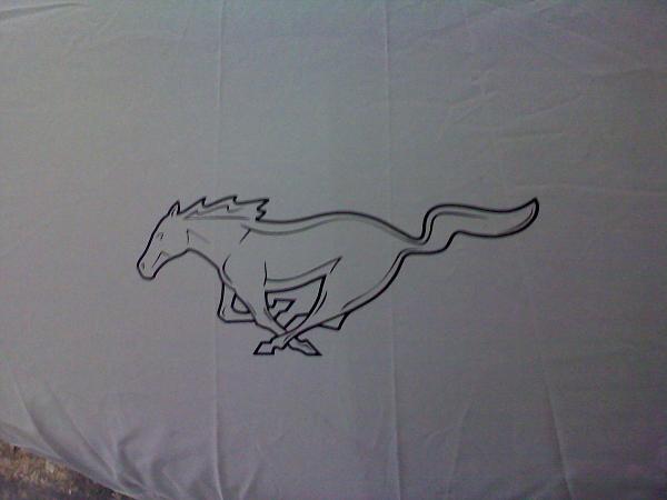 Time to put it away for the winter.-silver-horse.jpg