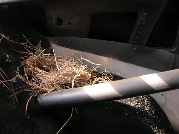 only one made in 2011-dscn39881.jpg