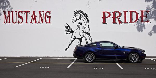 Anniversary detailing (and cool place for a Long Island Mustang meet?) - PICS-dsc01995.jpg