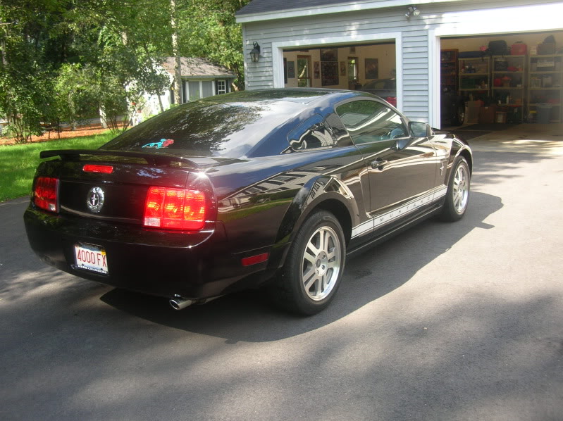 Name:  Mustangdetail004.jpg
Views: 49
Size:  117.1 KB