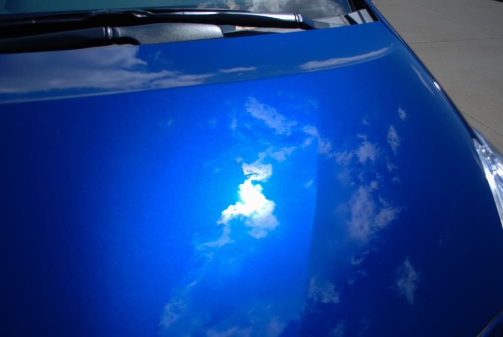 Name:  DSC_0540.jpg
Views: 77
Size:  36.0 KB