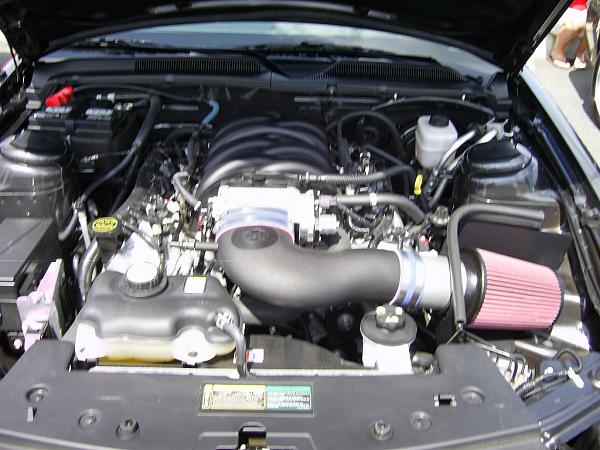 Spotless Engine Bay?-picture-car-4-006.jpg