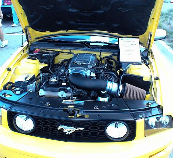 Spotless Engine Bay?-engne-bay.jpg