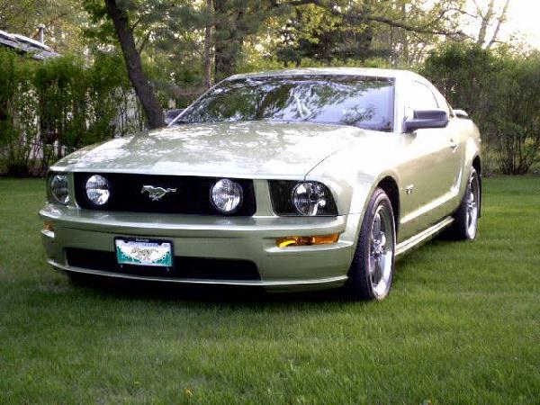 Meguiar's NXT-mustang07.jpg