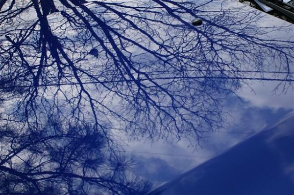 Polish - Liquid Glass-hood-1-small-.jpg