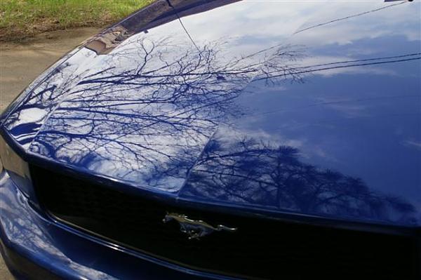 Polish - Liquid Glass-hood-2-small-.jpg