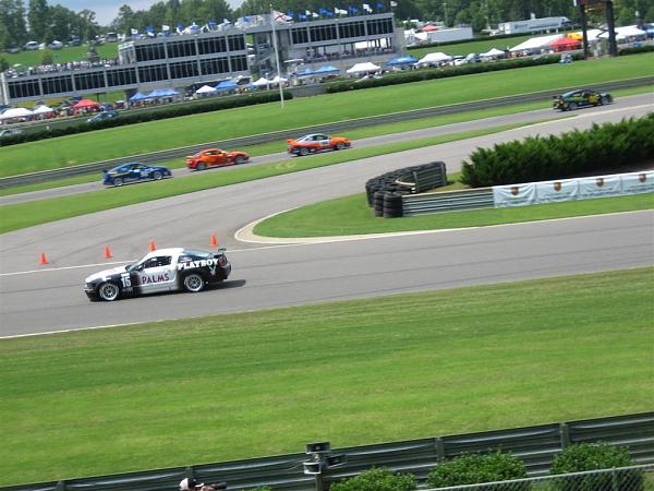 Photo Request from Barbers this weekend?-palms15.jpg