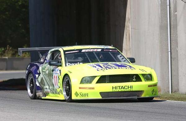 Mustang in SPEED GT World Challenge-mikedavis.jpg