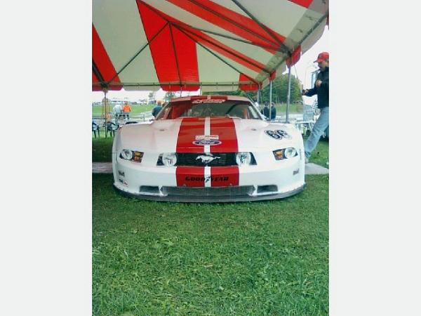 IMSA and SCCA Mustang question-image-2-2-.jpg