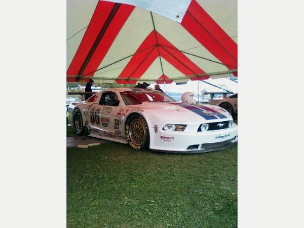 IMSA and SCCA Mustang question-image-4-2-.jpg